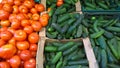 Fresh red tomatoes and green cucumbers in boxes. Vegetables in local farmers market or supermarket. Rich harvest. Supply of qualit Royalty Free Stock Photo