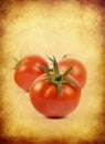 Fresh red tomatoes,Group of fresh red tomatoes Royalty Free Stock Photo