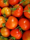 Fresh red tomatoes