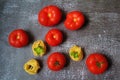 Fresh red tomatoes and nests of tagliatelle pasta, fresh oregano sprigs, red vegetables, egg noodles ribbons