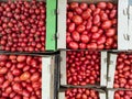 fresh red tomatoes in opened cardboard boxes, high angle view Royalty Free Stock Photo