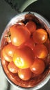 Fresh tomatoes in a steel bowl