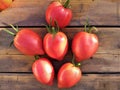 Fresh red tomatoes summer taste