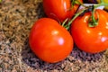 Fresh red tomatoes on the vine  on a countertop Royalty Free Stock Photo