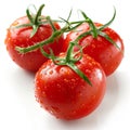 Fresh red tomatoes water drops isolated white backdrop. Close-up vegetable. Organic. Vegetarian Royalty Free Stock Photo