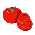 Fresh red tomatoes whole and half. vector illustration isolated on a white background Royalty Free Stock Photo