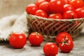 Fresh red tomatoes in a wicker basket on an old wooden table. Ripe and juicy cherry tomatoes with drops of moisture Royalty Free Stock Photo
