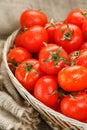 Fresh red tomatoes in a wicker basket on an old wooden table. Ripe and juicy cherry tomatoes with drops of moisture, gray wooden Royalty Free Stock Photo