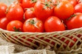 Fresh red tomatoes in a wicker basket on an old wooden table. Ripe and juicy cherry tomatoes with drops of moisture, gray wooden Royalty Free Stock Photo
