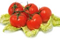 Fresh red tomatos with leaves cabbage