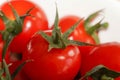 Fresh red tomatos in a white bowl in detail Royalty Free Stock Photo