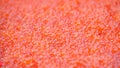 Fresh red trout caviar macro
