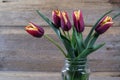 Fresh red tulip flowers bouquet in a glass jar Royalty Free Stock Photo