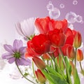 Fresh red tulips on abstract spring nature background Royalty Free Stock Photo