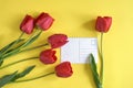 Fresh red tulips and white postcard on yellow background. Top view. Close-up. Copy space. Royalty Free Stock Photo