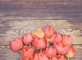 Fresh red tulips on a wood textured background Royalty Free Stock Photo
