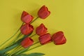 Fresh red tulips on yellow background, congratulatory bouquet. Top view. Close-up. Copy space. Royalty Free Stock Photo