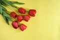 Fresh red tulips on yellow background, greeting bouquet. Top view. Close-up. Copy space. Royalty Free Stock Photo