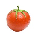 Fresh Red Wet Tomato Royalty Free Stock Photo