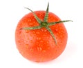 Fresh red wet tomato Royalty Free Stock Photo