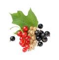 Fresh red, white and black currants with green leaf isolated on white, top view Royalty Free Stock Photo