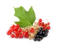 Fresh red, white and black currants with green leaf isolated on white Royalty Free Stock Photo