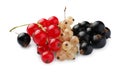 Fresh red, white and black currants isolated on white Royalty Free Stock Photo