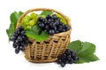 Fresh Red and White Grapes with Green Leaves in Wicker Basket Isolated on White Royalty Free Stock Photo