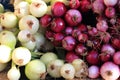 Fresh red and white onions Royalty Free Stock Photo