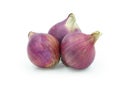 Fresh red whole onions isolated on white background. Royalty Free Stock Photo