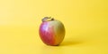 Fresh red yellow apple fruct isolated on yellow background Royalty Free Stock Photo