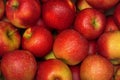 Fresh red and yellow apples with condensed drops of water displayed at food market, closeup detail Royalty Free Stock Photo