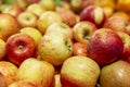 Fresh red-yellow apples on a counter in a supermarket. Healthy eating and vegetarianism. Close-up Royalty Free Stock Photo