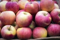 Fresh red and yellow apples on the market Royalty Free Stock Photo