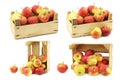 Fresh red and yellow apples in a wooden crate Royalty Free Stock Photo