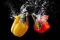 Bell pepper in water with splash Royalty Free Stock Photo
