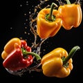 Fresh red and yellow bell pepper with water splash isolated on black background Royalty Free Stock Photo