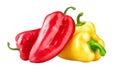 Fresh red and yellow bell peppers. Pepper vegetables. Organic natural food Isolated