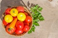 Fresh red and yellow homemade tomatoes in a wicker plate on an old wooden table, rustic, copy space, Royalty Free Stock Photo