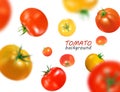 Fresh red and yellow tomatoes flying background. Quality vector realistic illustration.