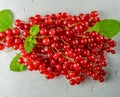 Fresh redcurrant berries with leafs on white textured background Royalty Free Stock Photo