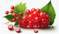 Fresh Redcurrant Berry Fruit on White Background AI Generative