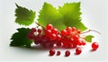Fresh Redcurrant Berry Fruit on White Background AI Generative