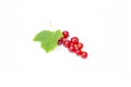 Fresh redcurrant fruit, red currant berries with green leaf, ribes rubrum, isolated on the white background