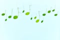 Fresh refreshing and spring summer music concept. Creative composition of fresh leaves arranged into musical notes.