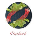 Fresh rhubarb. Rhubarb leavs on stone dish isolated on white. Vector