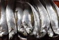Fresh Ribbonfish for Sale in Taiwan Royalty Free Stock Photo
