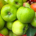 Fresh ripe apples in a basket, collection in a summer garden.