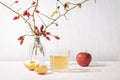 Fresh ripe apples and glass of apple juice or cider on white table. Vase with rosehip branches on the background. Autumn Royalty Free Stock Photo