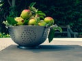 Fresh biologic apples full in in the metal colander on the tabl Royalty Free Stock Photo